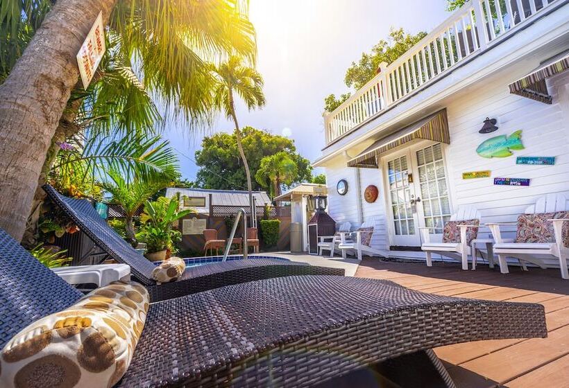 مبيت وإفطار Seascape Tropical Inn