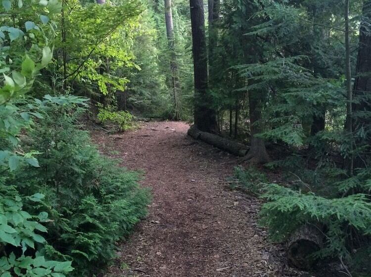 Country House Resort