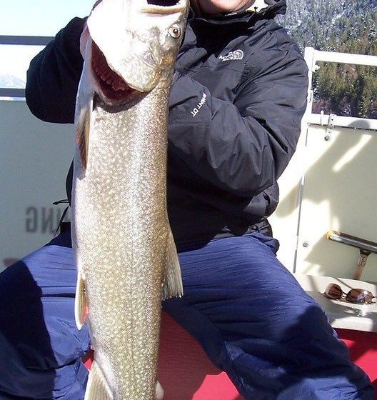 Dover Bay Resort On Lake Pend Oreille