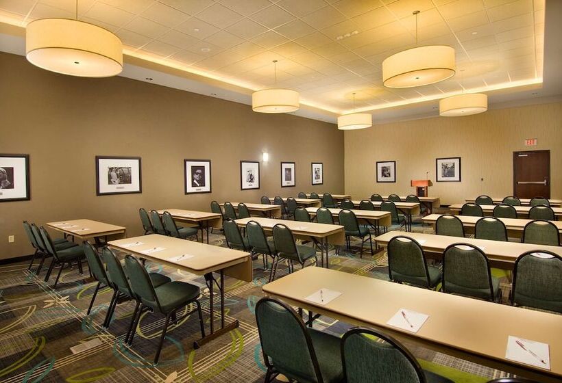 Drury Plaza Hotel San Antonio North Stone Oak