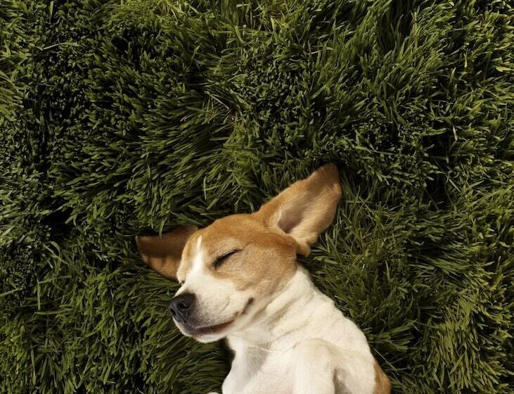 Element Omaha Midtown Crossing