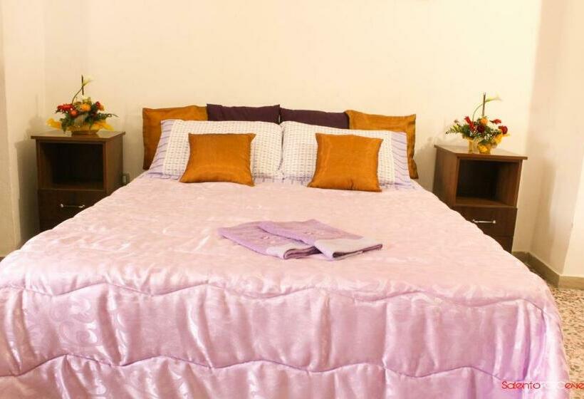 Exedra Holiday House