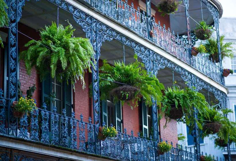 Frenchmen Orleans At 519, Ascend Hotel Collection