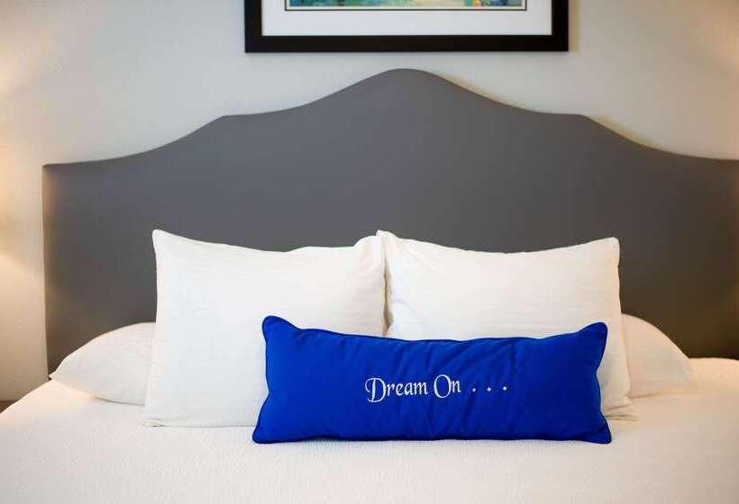 Frenchmen Orleans At 519, Ascend Hotel Collection