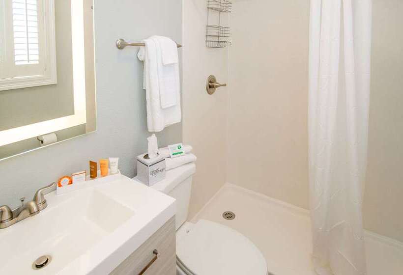 Frenchmen Orleans At 519, Ascend Hotel Collection