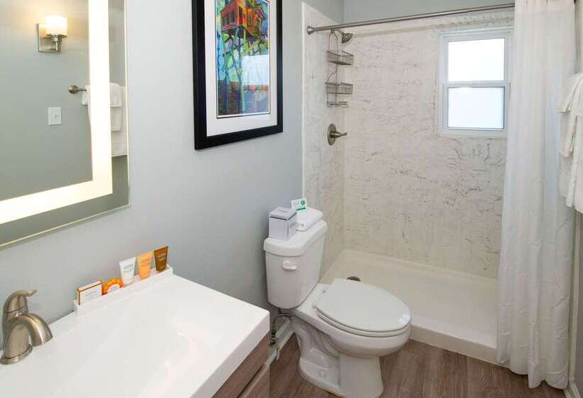 Frenchmen Orleans At 519, Ascend Hotel Collection