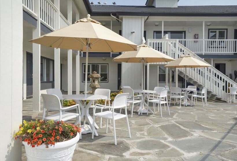 فندق A Wave Inn