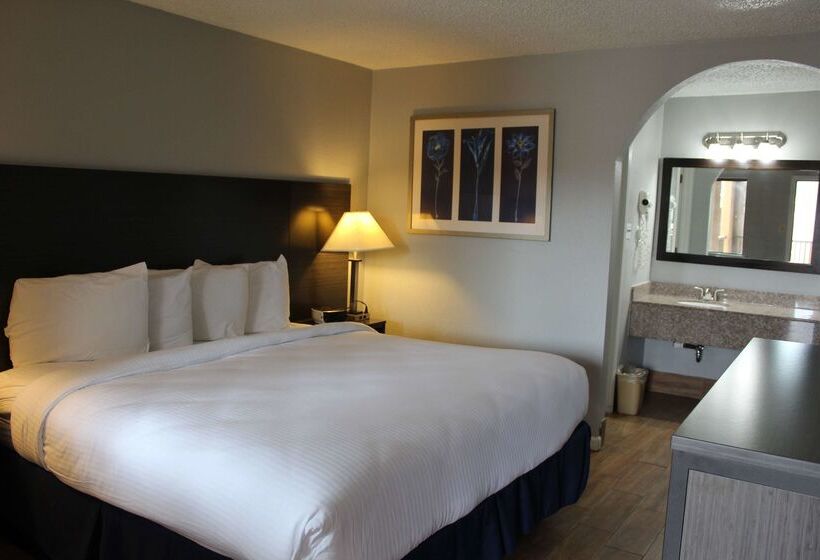 ホテル Americas Best Value Inn Medical Center Downtown