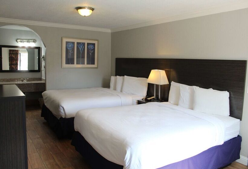 ホテル Americas Best Value Inn Medical Center Downtown