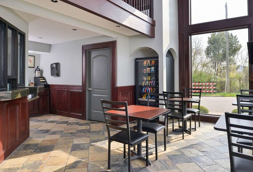 ホテル Americas Best Value Inn Medical Center Downtown