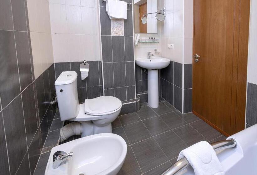 호텔 Ani Central Inn