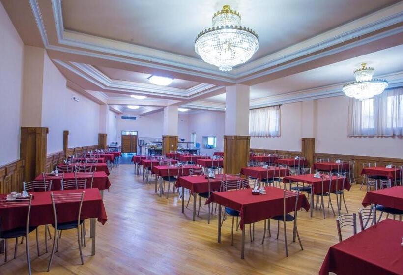 호텔 Ani Central Inn