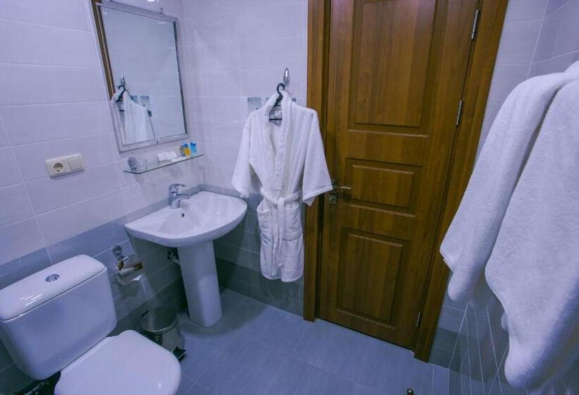 호텔 Ani Central Inn