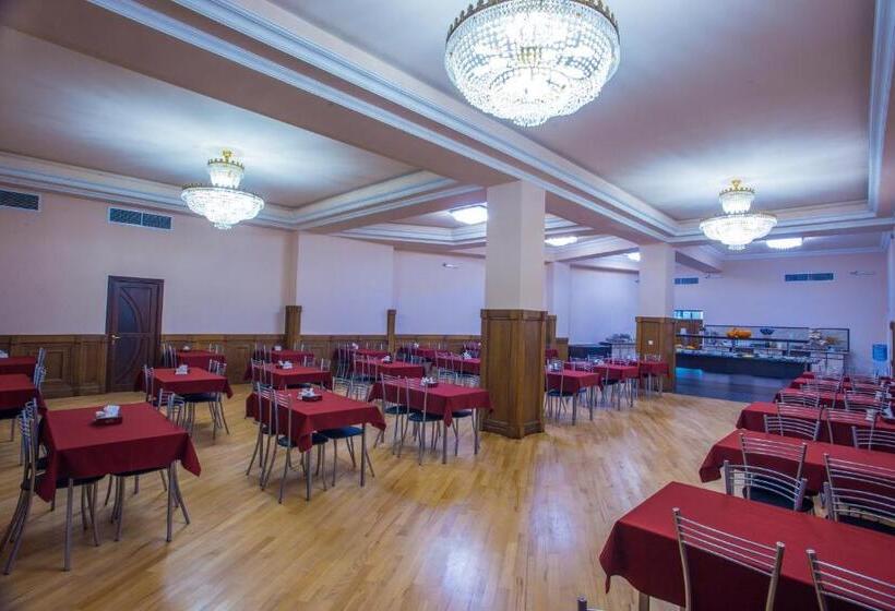 호텔 Ani Central Inn