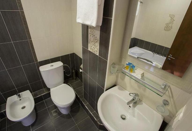 호텔 Ani Central Inn