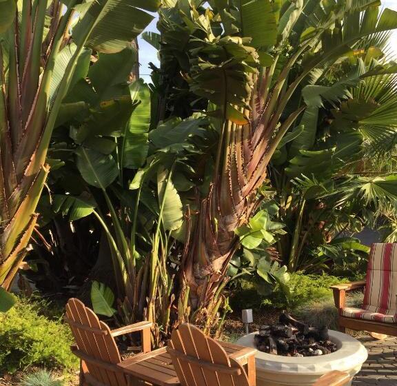 فندق Beach Bungalow Inn And Suites