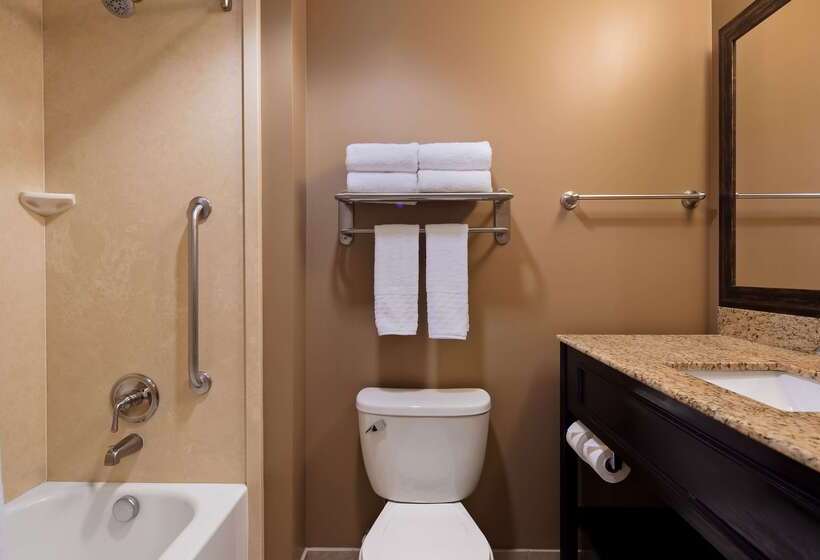 酒店 Best Western Plus College Park