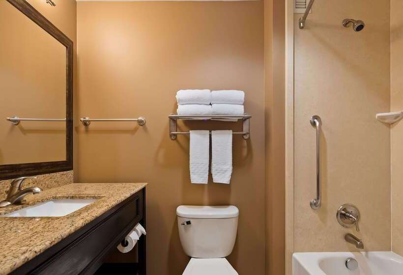 酒店 Best Western Plus College Park