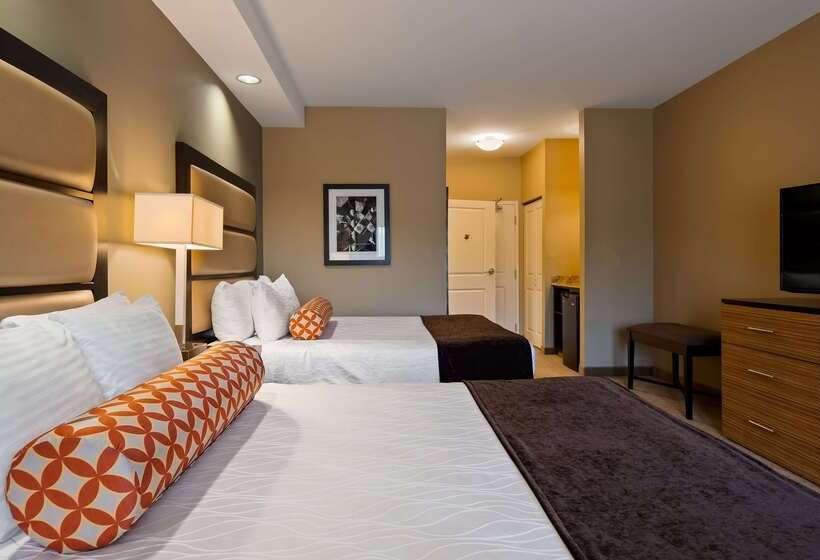 酒店 Best Western Plus College Park