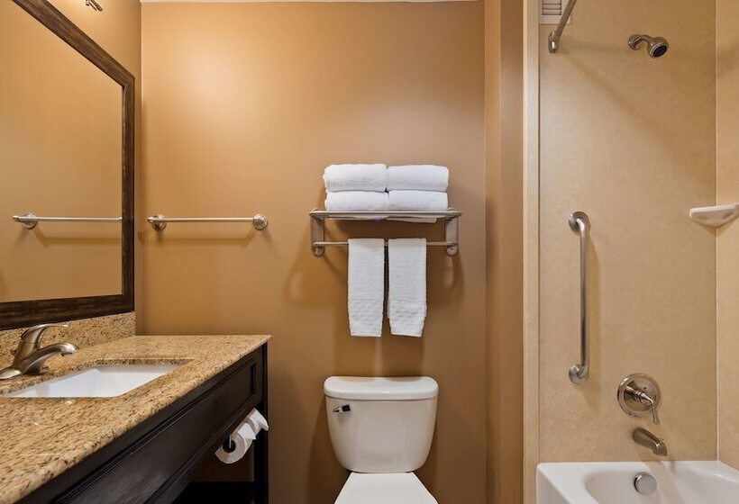 酒店 Best Western Plus College Park