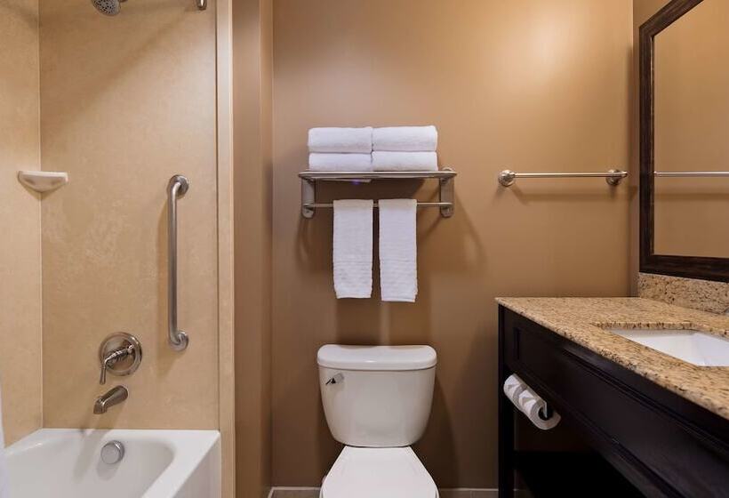 酒店 Best Western Plus College Park