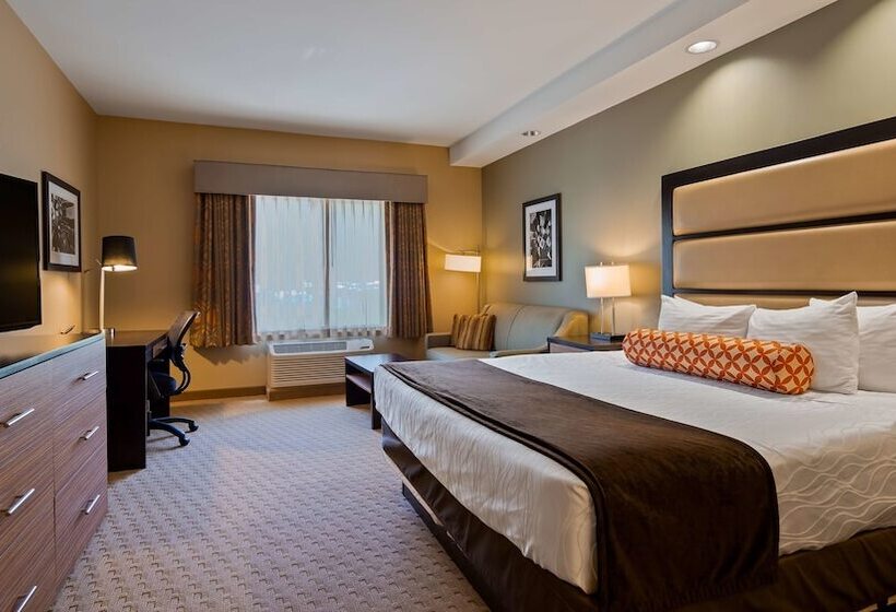 酒店 Best Western Plus College Park