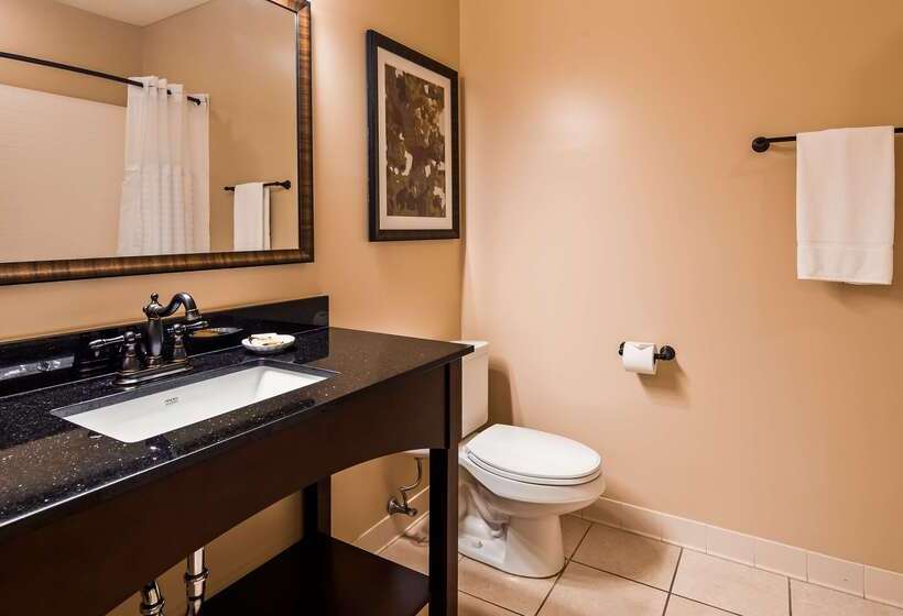 فندق Best Western Plus Dutch Haus Inn And Suites