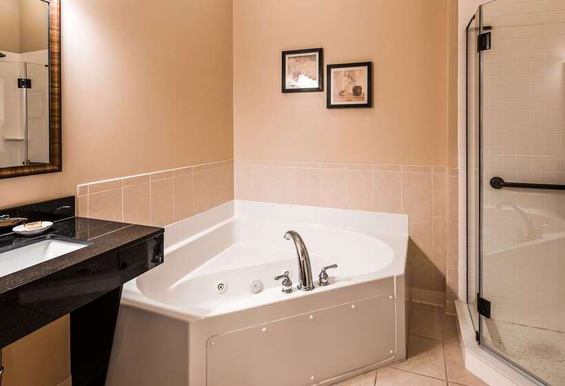 فندق Best Western Plus Dutch Haus Inn And Suites