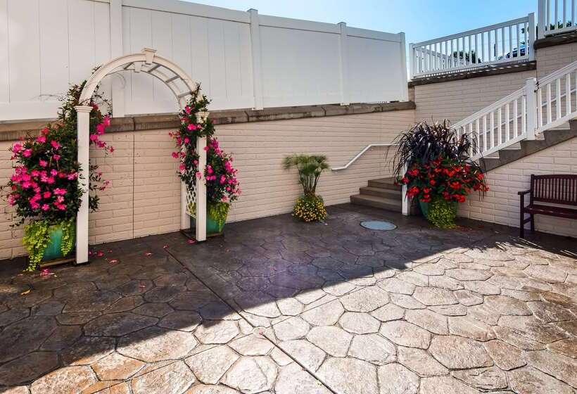 فندق Best Western Plus Dutch Haus Inn And Suites