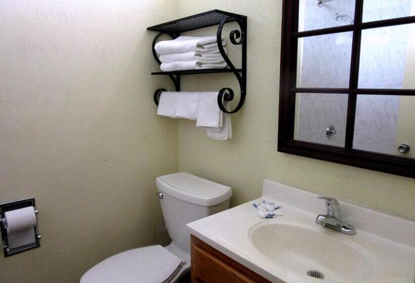 בית מלון כפרי Budget Host Inn