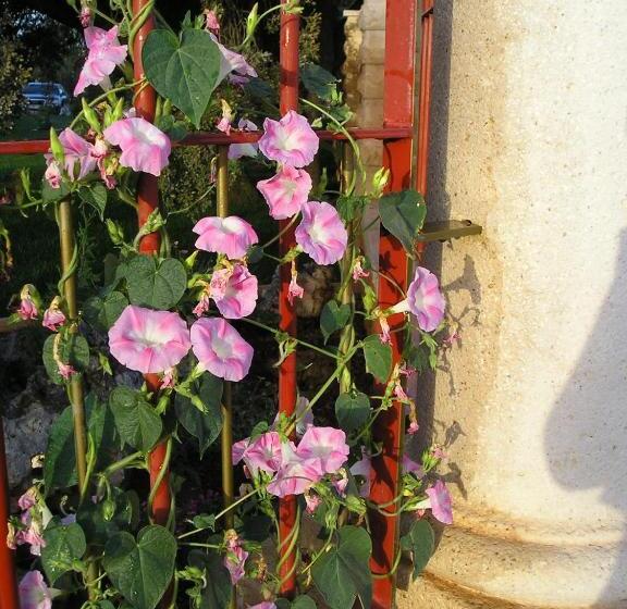 ホテル Casa Rural Galatea Especial Grupos