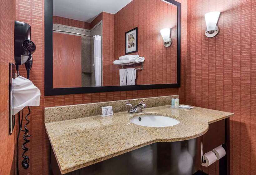 فندق Comfort Suites