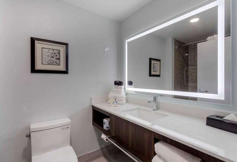 בית מלון כפרי Comfort Suites Mt. Julietnashville Area