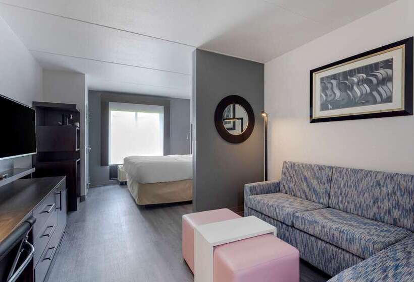 בית מלון כפרי Comfort Suites Mt. Julietnashville Area