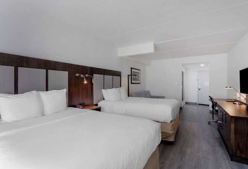 בית מלון כפרי Comfort Suites Mt. Julietnashville Area