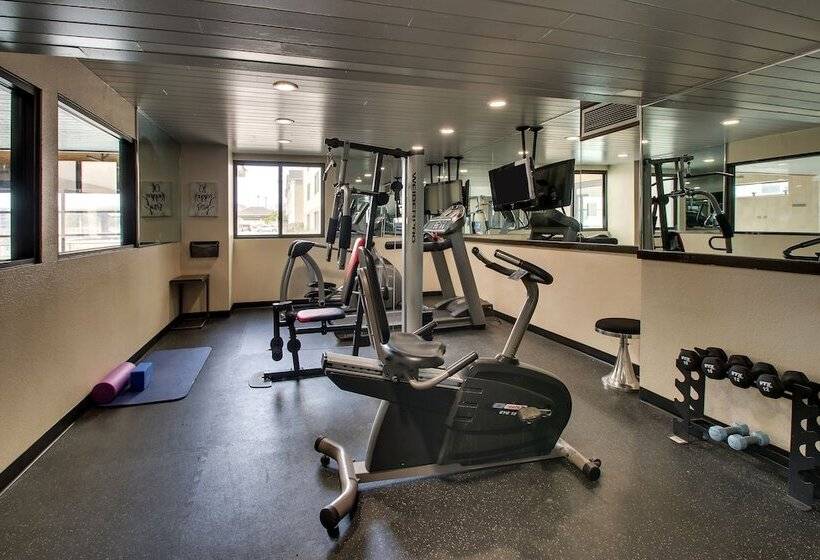 호텔 Everspring Inn