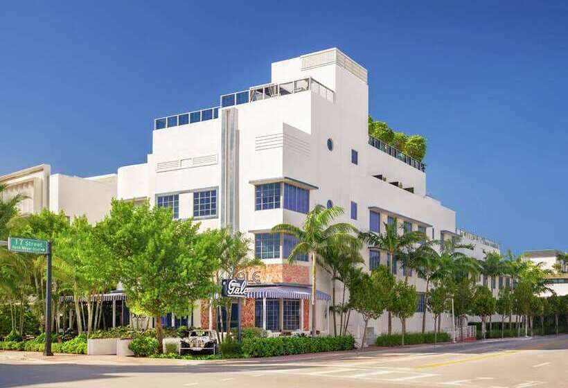 ホテル Gale South Beach, Curio Collection By Hilton