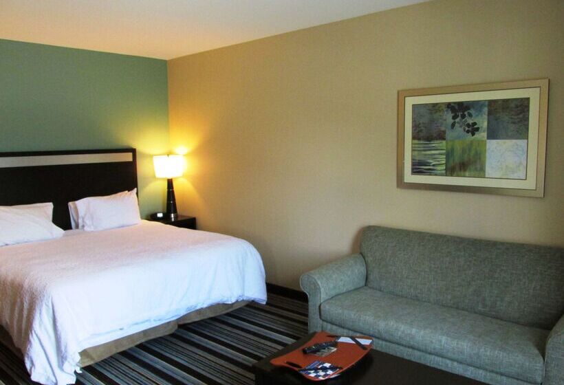 فندق Hampton Inn Statesboro