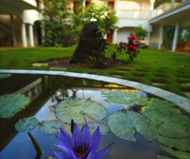 בית מלון כפרי Hawaii Island Retreat At Ahu Pohaku Ho`omaluhia