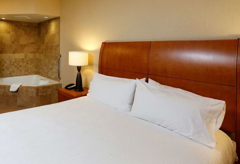 فندق Hilton Garden Inn Cedar Falls