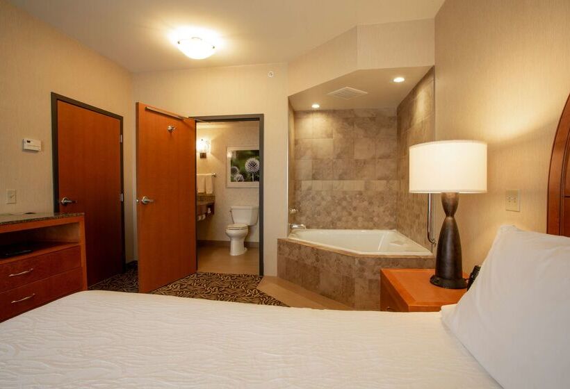 בית מלון כפרי Hilton Garden Inn Cedar Falls
