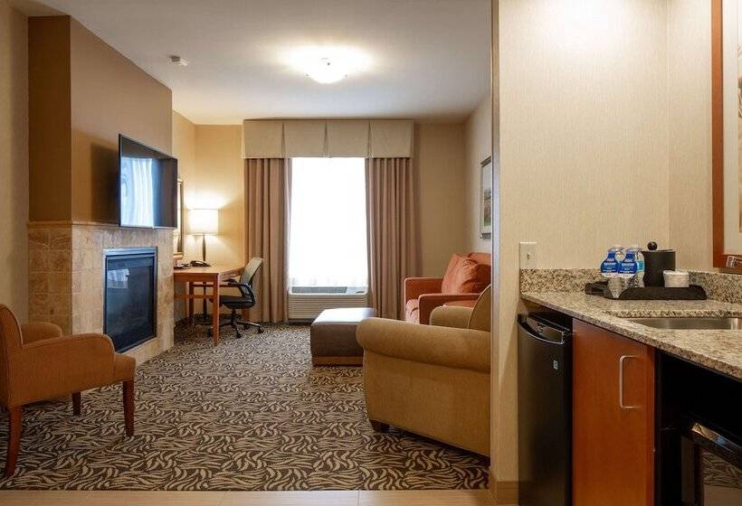 فندق Hilton Garden Inn Cedar Falls
