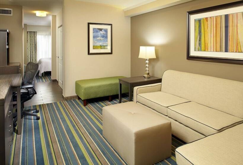 فندق Hilton Garden Inn Texarkana