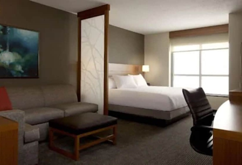 ホテル Hyatt Place Detroit/novi