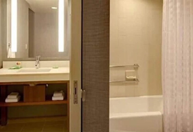 ホテル Hyatt Place Detroit/novi