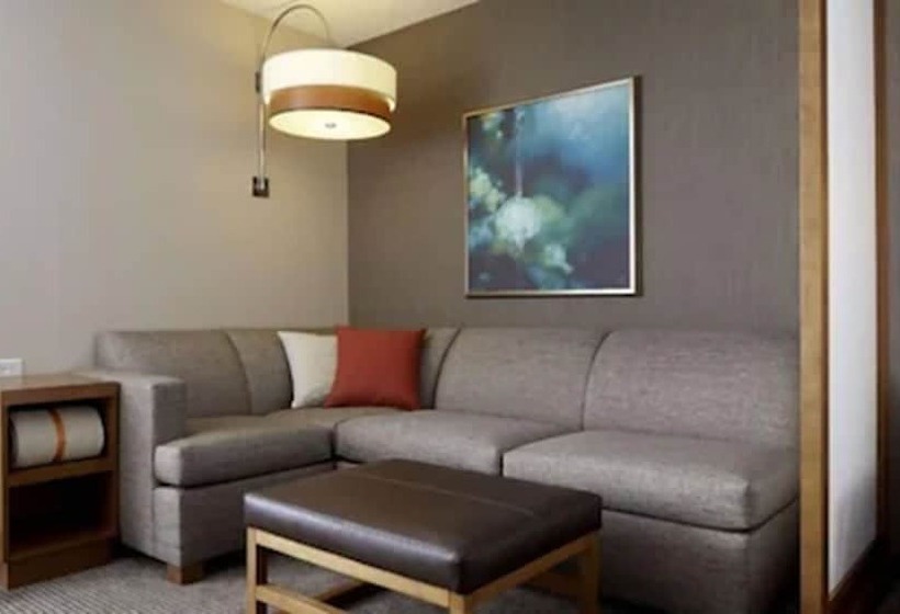 בית מלון כפרי Hyatt Place Detroit/novi