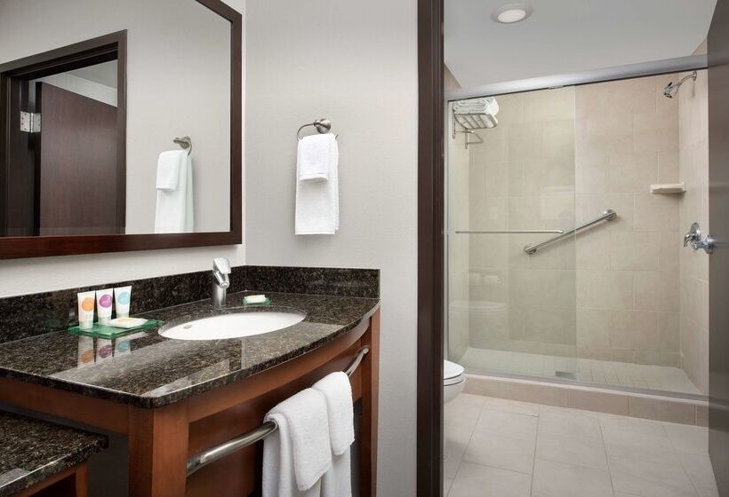 فندق Hyatt Place Sugar Land