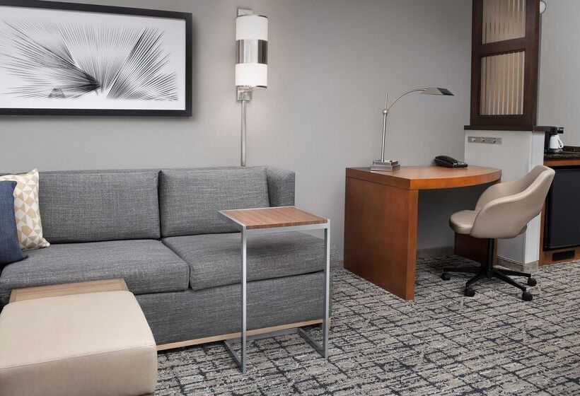 בית מלון כפרי Hyatt Place Sugar Land