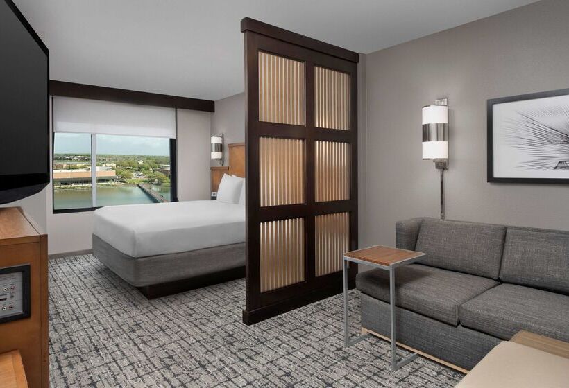 فندق Hyatt Place Sugar Land