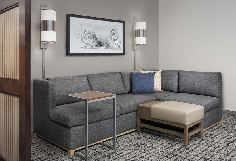 فندق Hyatt Place Sugar Land